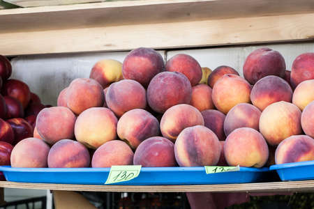 beautiful juicy peaches on a counter of shop in summer dayの写真素材