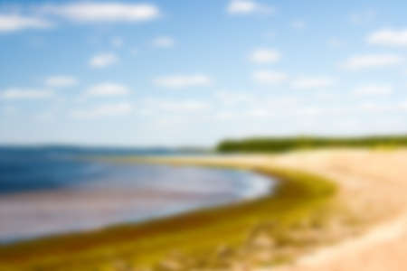 Blurred background in the form of a sandy sea shore on a clear summer day