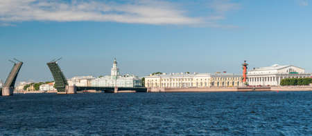 Panorama of the drawn Palace Bridge in the city of St. Petersburg in clear day.の写真素材