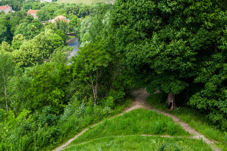 Small river surrounded by treesの写真素材
