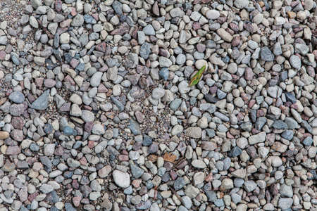 Little stones on the ground