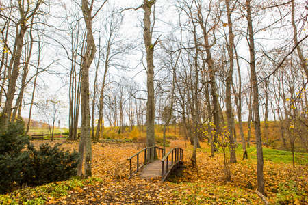 Autumn in the park in Lithuaniaの写真素材