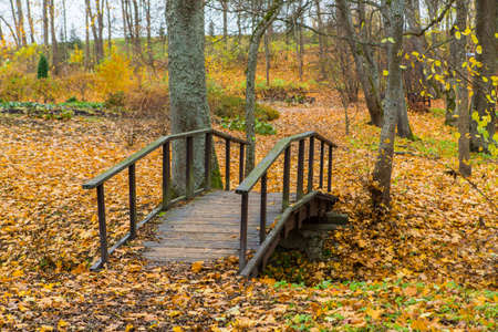 Autumn in the park in Lithuaniaの写真素材