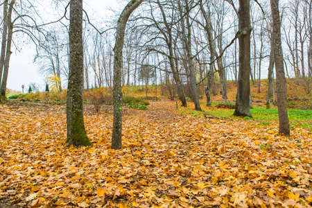 Autumn in the park in Lithuaniaの写真素材