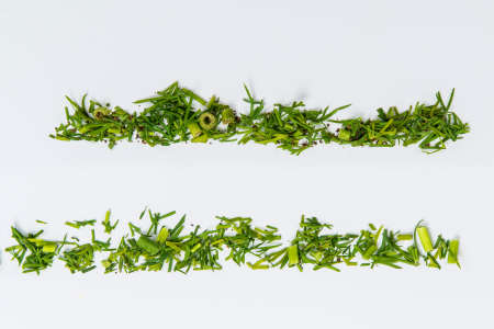 Lines of different herbs on the white tableの写真素材