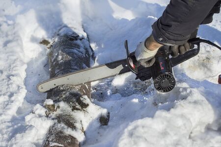 Lumberjack cuts a tree limb into pieces in a forest in the snow. Sawing felled tree into piecesの写真素材
