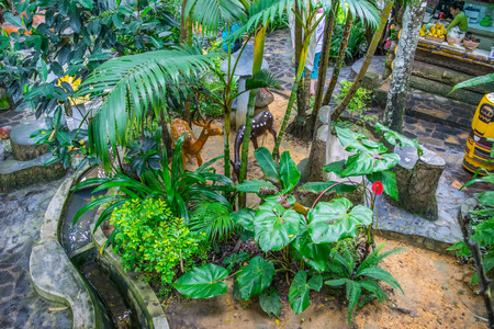 Inner yard at Hotel museum in Dalat, Vietnamのeditorial素材