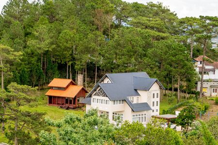 Country sweet house in pine forest