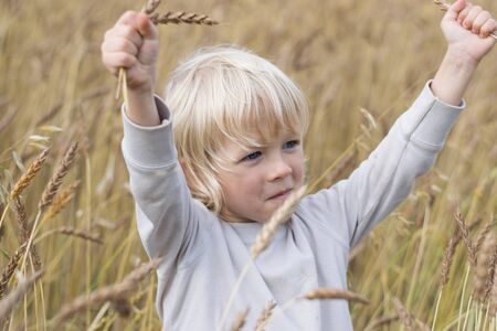 Blond Slavic happy boy at a ripe rye field, autumn harvest, Russia, the Uralsの写真素材
