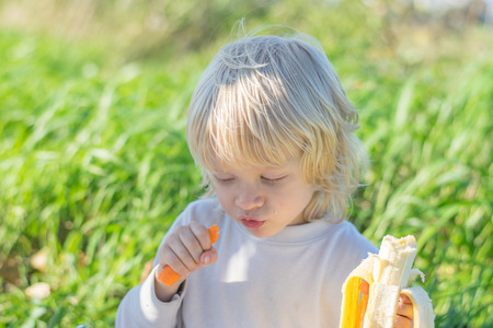 Blond Slavic Baby boy eats carrot and banana sitting on grass during outing at a summertime - healthy feedingの写真素材