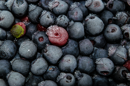 Frozen bilberries - texture -Black berries covered by iceの写真素材