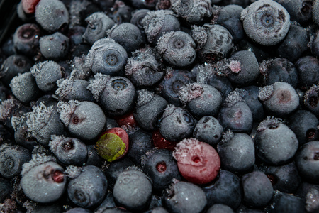 Frozen bilberries - texture -Black berries covered by iceの写真素材
