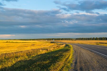 Empty autumn road in golden wheat fieldの写真素材