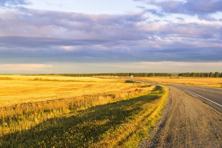 Empty autumn road in golden wheat fieldの写真素材