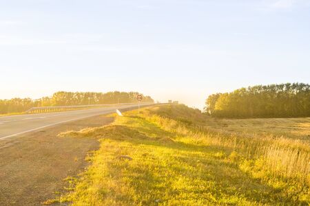 Empty autumn road in golden wheat fieldの写真素材