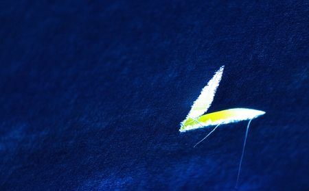 Blue jean heartの写真素材