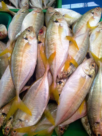Fresh Raw Fish