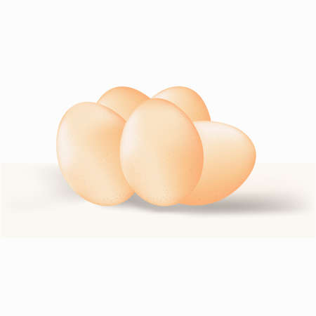 Realistic illustration of five eggs on white backgroundのイラスト素材