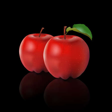 Fresh apples isolated on black background, vector illustration.のイラスト素材