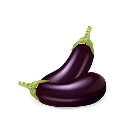 Eggplants isolated on white background, vector illustration.のイラスト素材