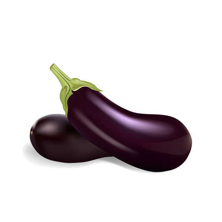 Eggplants isolated on white background, vector illustration.のイラスト素材