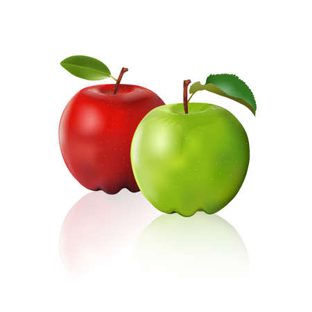 Green apple and red apple isolated on white background, vector illustration.のイラスト素材