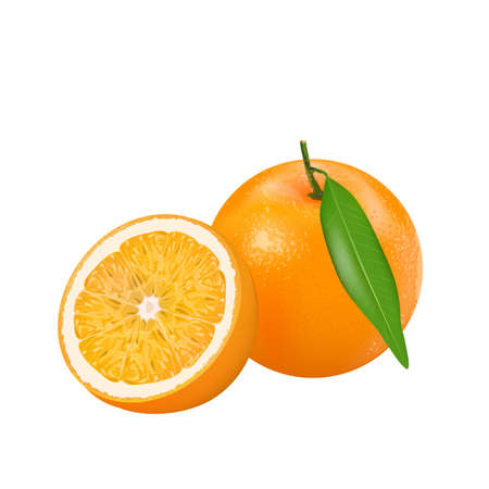 Fresh orange isolated on white background, vector illustration.のイラスト素材