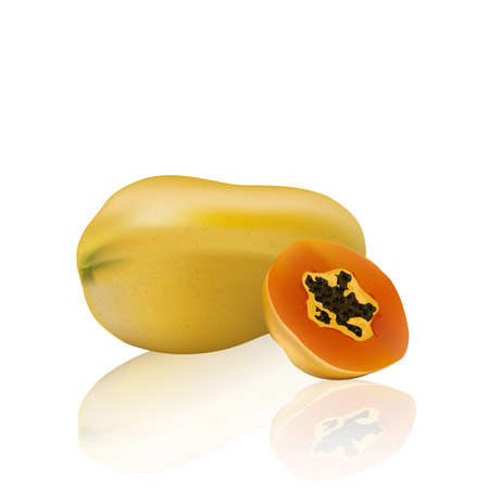 Papaya vector isolated on white background, illustration.のイラスト素材