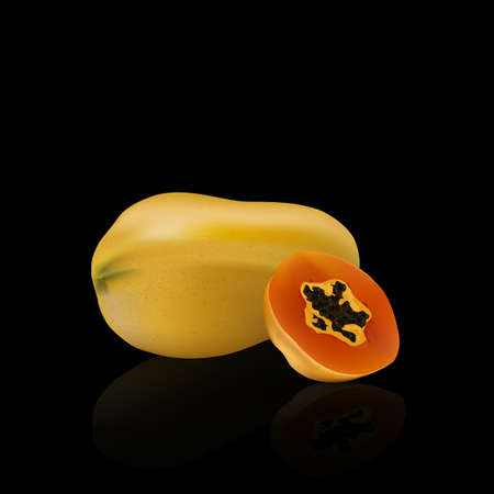 Papaya vector isolated on black background, illustration.のイラスト素材