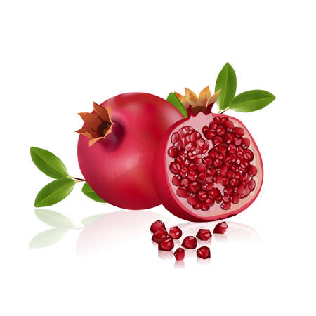 fresh pomegranate fruits isolated on white background. Vitamins and minerals. Healthy concept, vector illustration.のイラスト素材