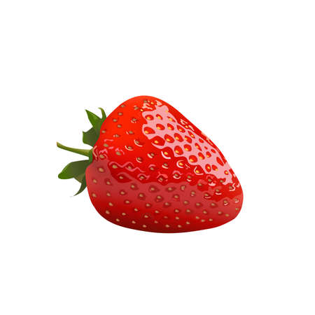 Strawberry isolated on white background, vector illustration.のイラスト素材