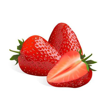Strawberry isolated on white background, vector illustration.のイラスト素材