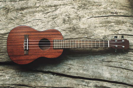 close-up ukulele and on wood background.