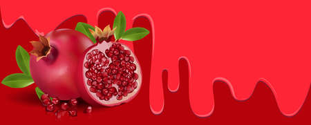 Pomegranate fruit on Red background, flowing juicy water and copy space for text. vector illustration.のイラスト素材