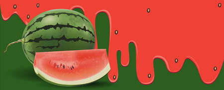 Watermelon fruit on Green and Red background, flowing juicy water and copy space for text. vector illustration.のイラスト素材