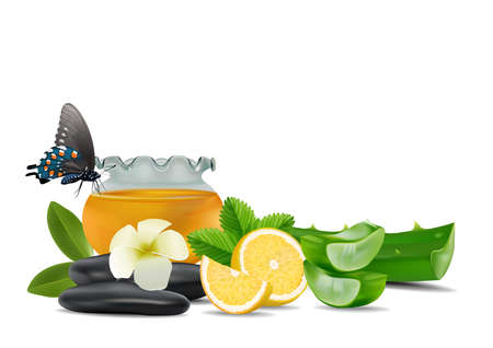 Aloe Vera, lemon, strawberry and honey isolated on white backgroundのイラスト素材