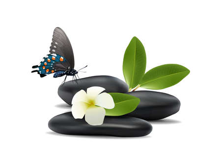 Realistic vector 3D zen stones isolated on white backgroundのイラスト素材