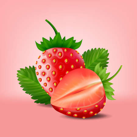 Strawberry isolated on pink background, vector illustration.のイラスト素材