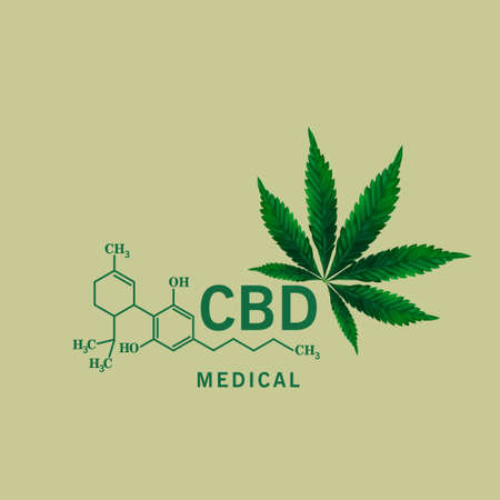 Hemp oil is extracted for the cure of many diseases. Medical use on blue background, vector and illustration.のイラスト素材