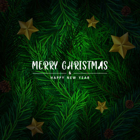 Background with Realistic Looking Christmas Tree Branches on red background. Brochure design template, Card, Banner, vector illustration.の写真素材