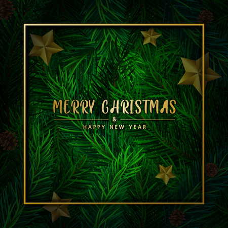 Background with Realistic Looking Christmas Tree Branches on red background. Brochure design template, Card, Banner, vector illustration.の写真素材