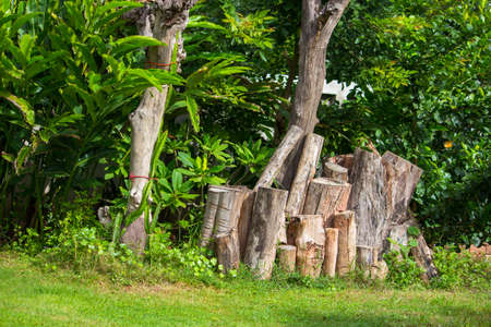 Decoration of the house and the garden の写真素材
