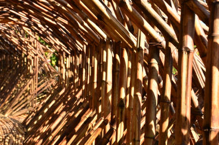 Bamboo tunnelの写真素材