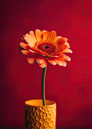 From above composition of orange flower in glass vase placed on red background. Generative AIの素材