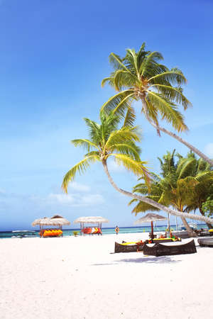 Landscape photo of Coconut trees and couches on white sand beach with blue skyの写真素材