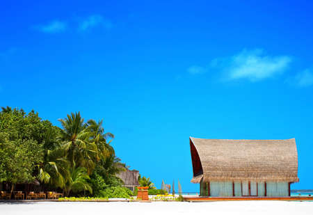 Landscape photo of Coconut trees and couches on white sand beach with blue skyの写真素材