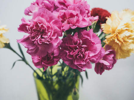 Colorful Carnation flower in a green glassの写真素材