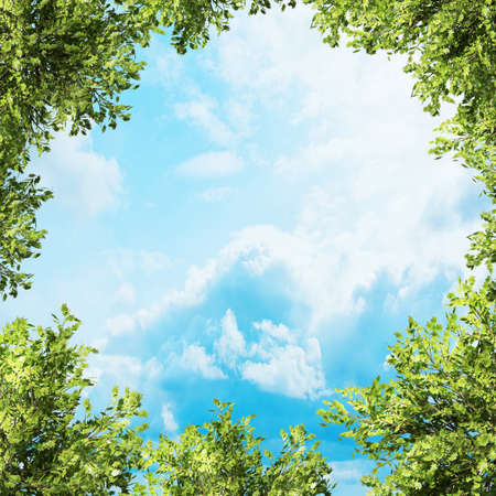 branches frame. High resolution 3d render の写真素材