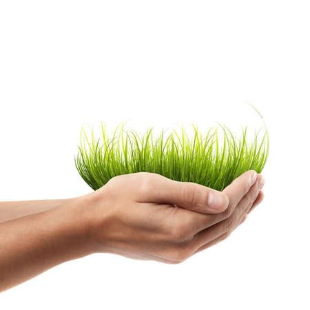 Man hand holding object ( green grass )  isolated on white background. High resolution の写真素材