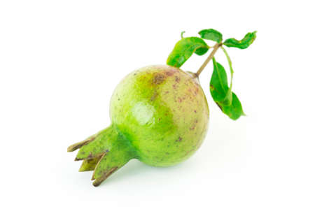 Young pomegranate isolated on white backgroundの写真素材